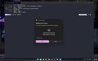 Windows Hello on WSL