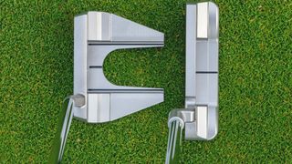 Photo of a blade and mallet putter