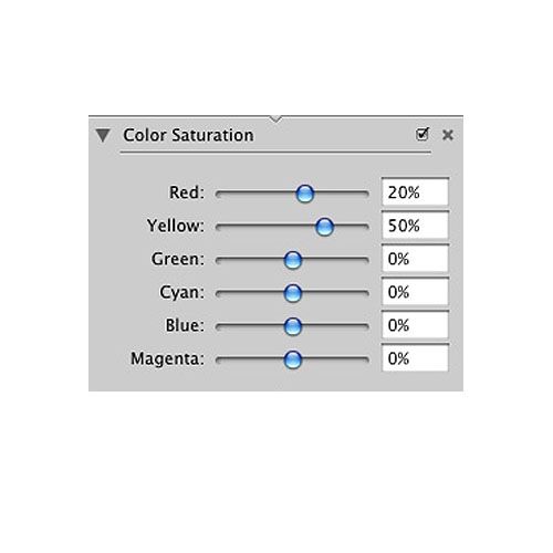 PhotoComplete image: The color saturation tool is one of the more important ones, since you can increase or decrease the image's vibrancy here.
