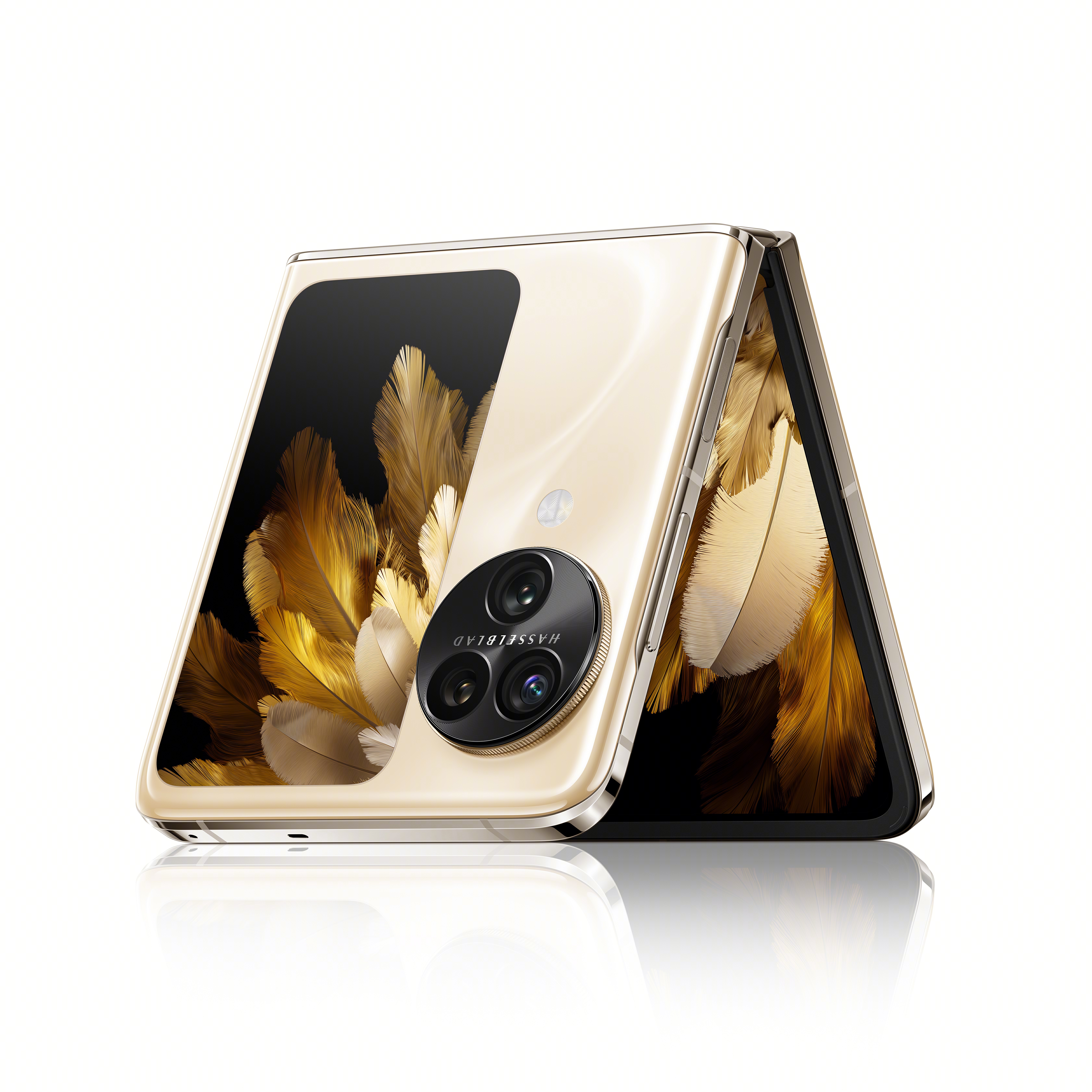Oppo flip phone
