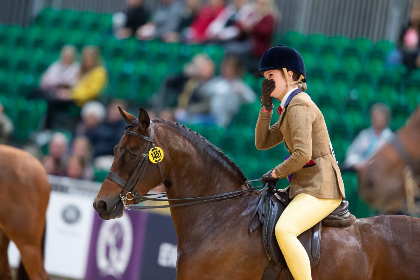 HOYS19_SHOW_HUNTER_PONY_143CM_LYDIA_TRIC_355112841_403888981-scaled-e1594214539355.jpg