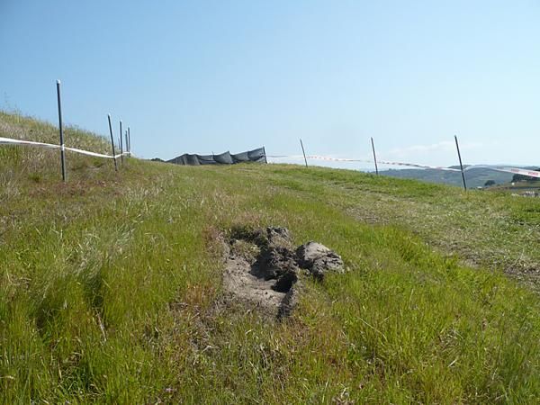 These ruts, spotted on the cross country course, don't look too fun.