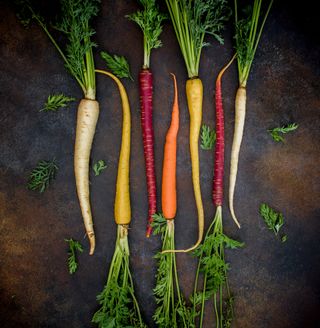 Carrot companion planting unsplash dana devolk