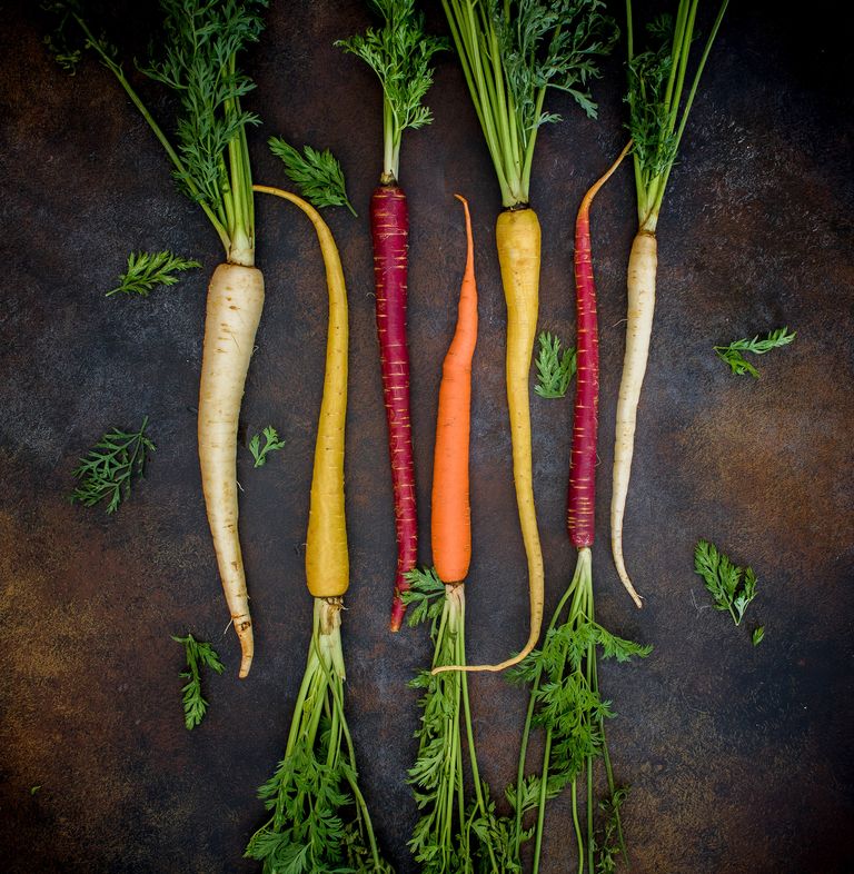 Carrot companion planting the best plants to grow with carrots Homes