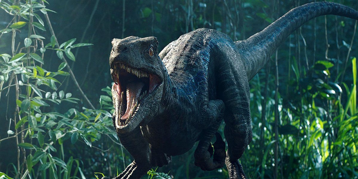 Blue in Jurassic World: Fallen Kingdom