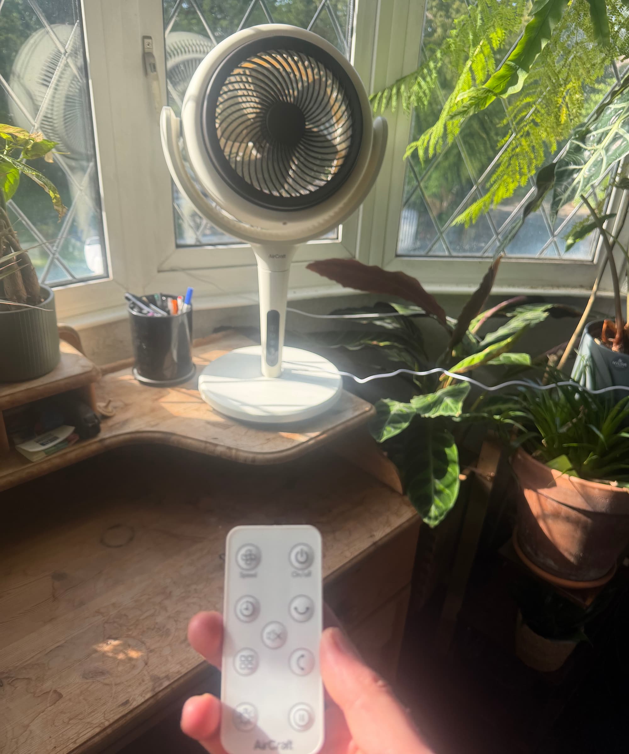 A fan on a desk next to plants with a remote control