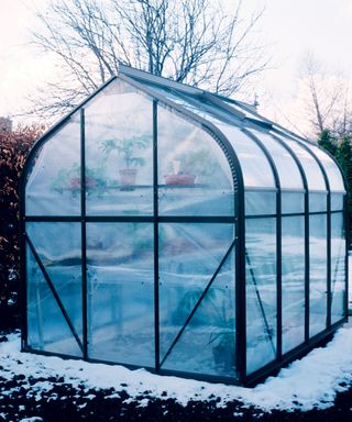 greenhouse insulated with bubble wrap in winter
