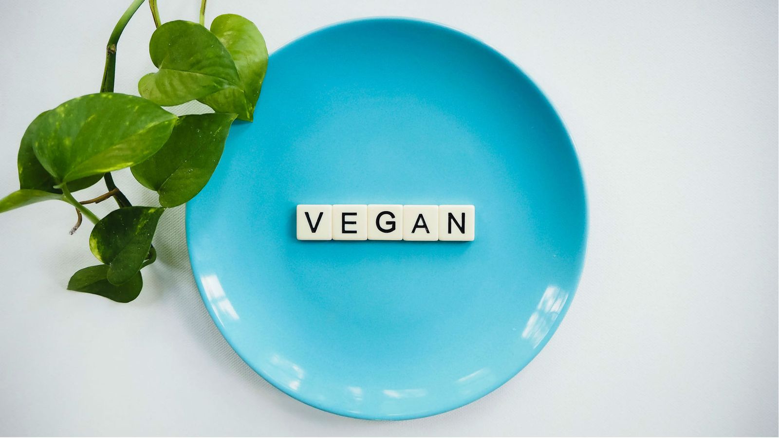The inspirational vegan Instagram accounts you need to be following
