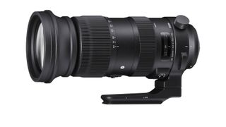 best 150-600mm lenses - Sigma 60-600mm f/4.5-6.3 DG OS HSM | S