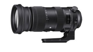 Sigma 60-600mm f/4.5-6.3 DG OS HSM | S