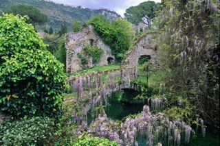 Wisteria covers an ancient bridge over the Ninfa River in the central Italian garden of Ninfa.