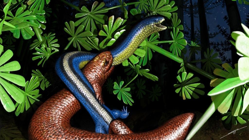 an artist&#039;s impression of a newly name, snake-like animal called Nagini mazonense. Image shows a blue and yellow, snake-like animal with two, lizard-like back legs crawling over a brown salamander with four limbs