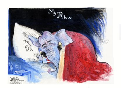 The GOP's MyPillow