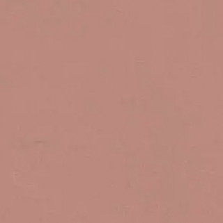 Terracotta pink paint swatch