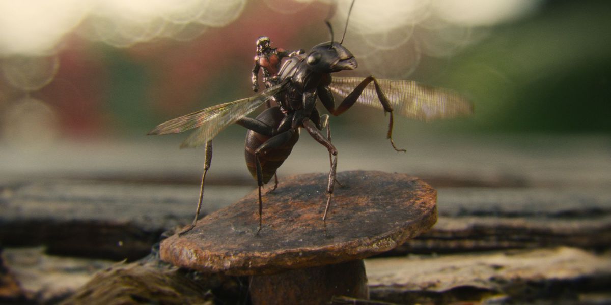 Ant-Man riding ant