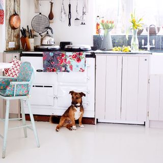 kitchen with white ktichen units and dog