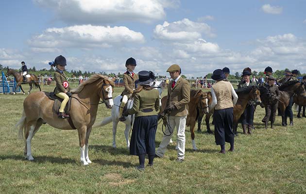 Line up of lead rein M&amp;M (monksfield hunstman and charlotte tuck winners)