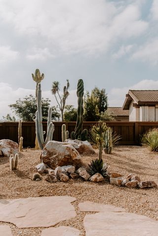 a gravel front yard with cacti