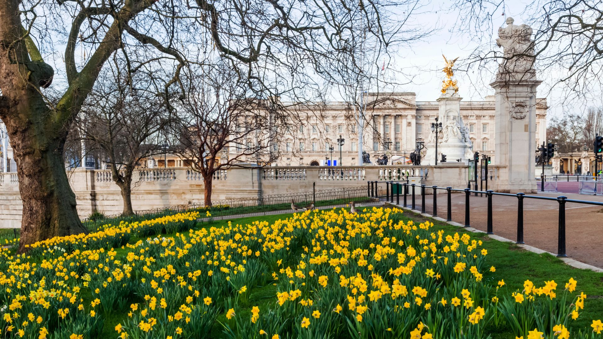 St James' Park view of Buckingham Palace