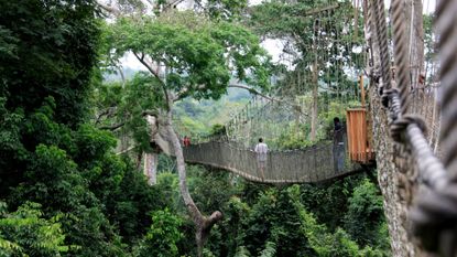 walkway at Kakum National Park, Ghana