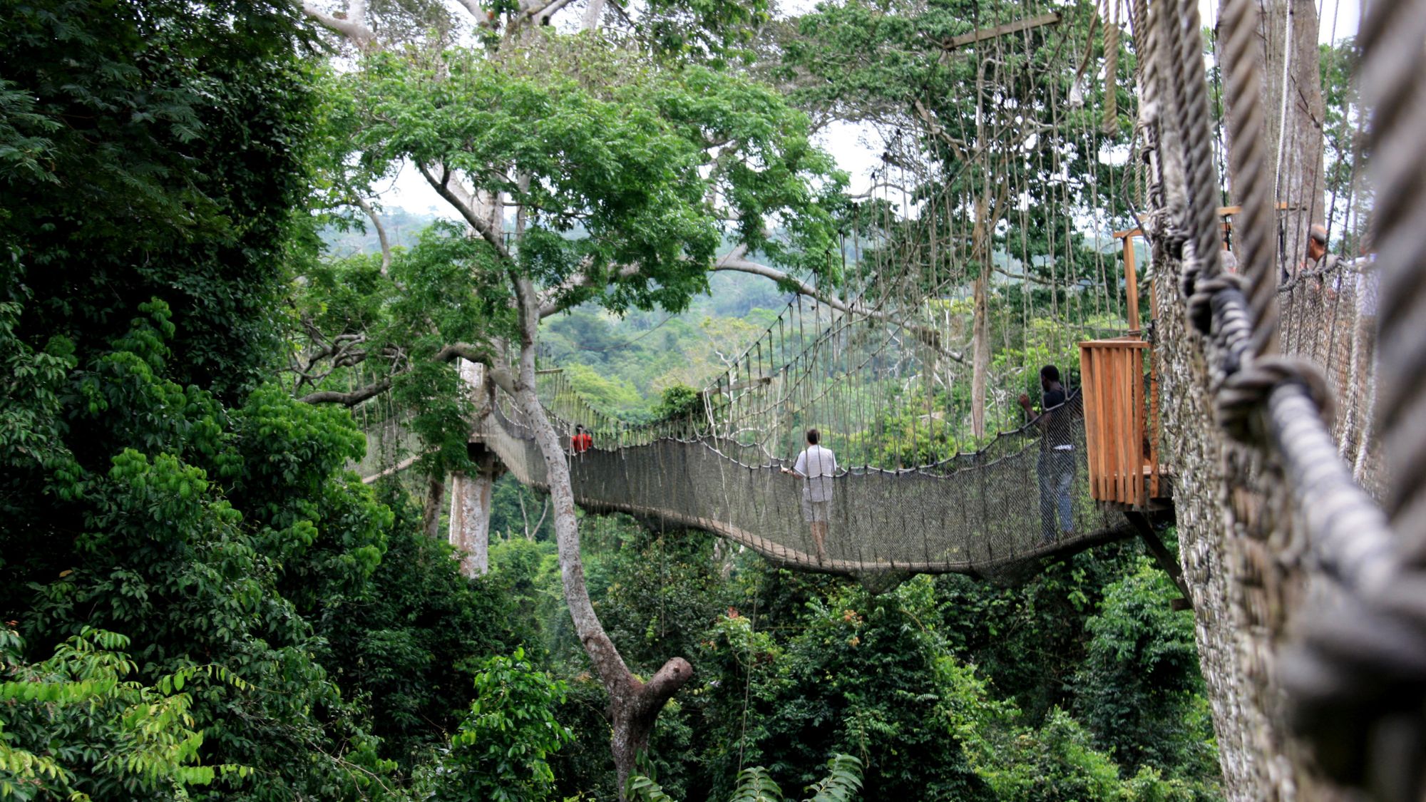 walkway at Kakum National Park, Ghana
