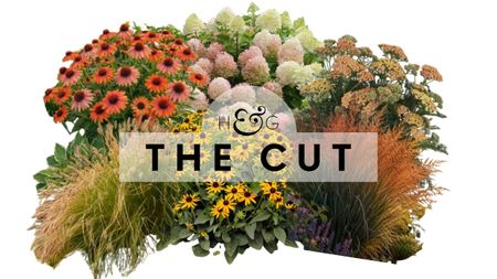 The Cut: beautiful fall plants