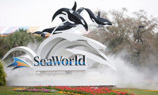 SeaWorld