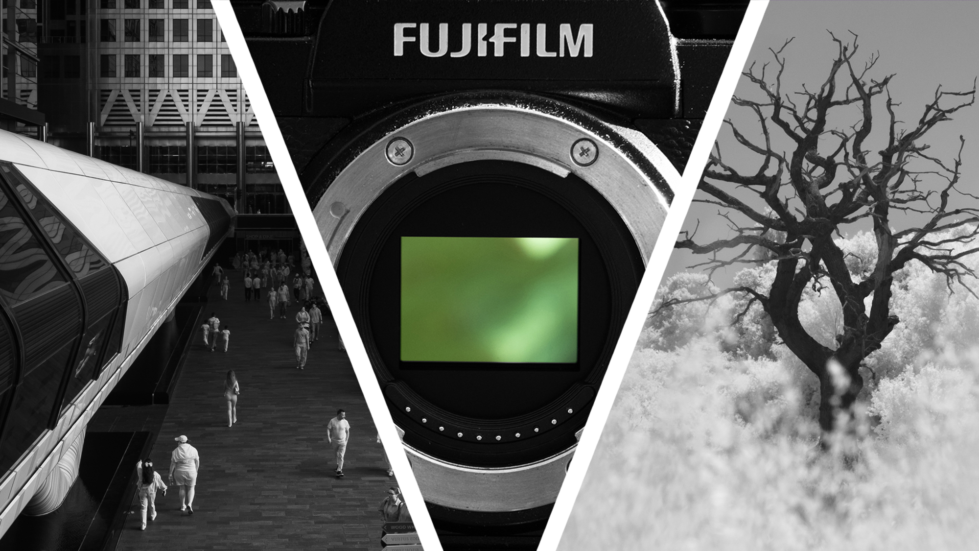 A camera next to two infrared photos of a train station and tree