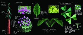 Reference images help inform the look of these plants, as do other artists' work and the game tech itself.