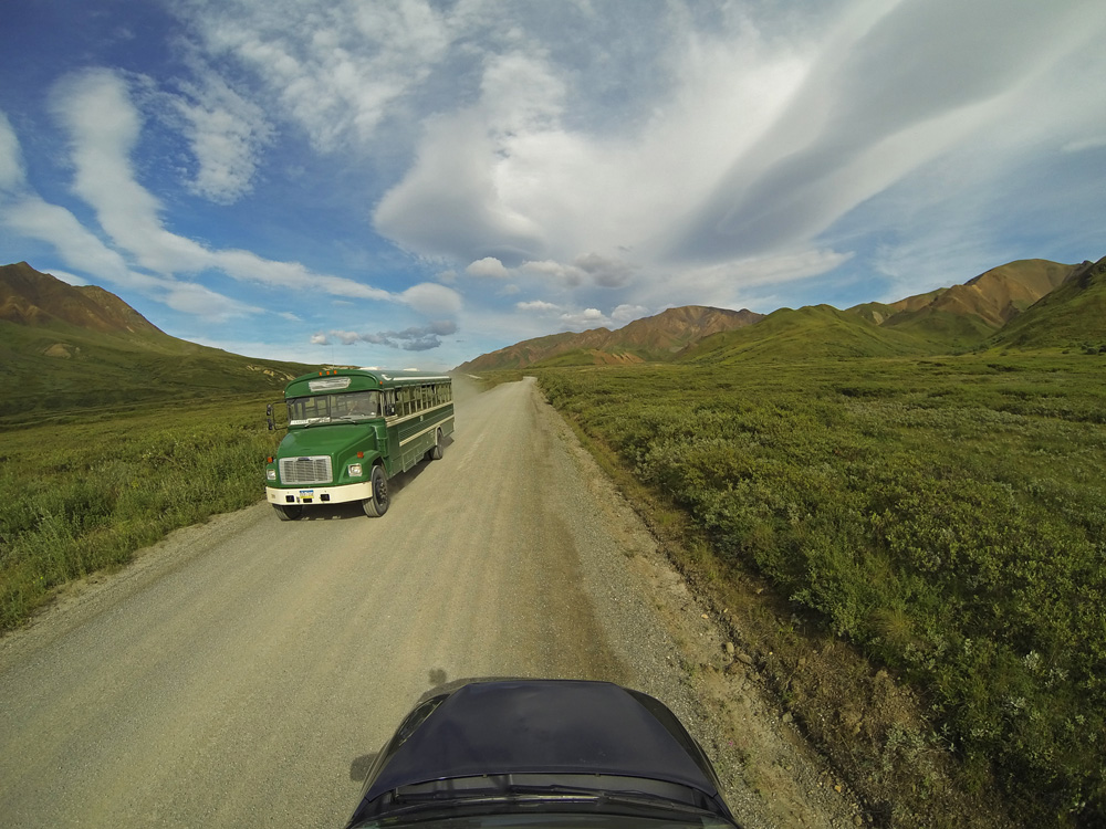 Denali street view