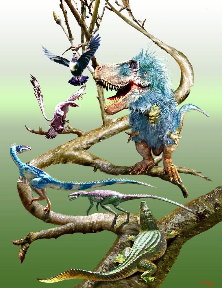 the first birds and origin of flight, illustration