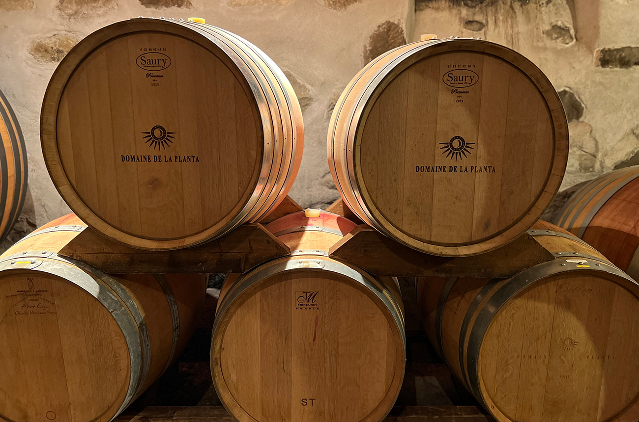 Domaine-de-la-Planta