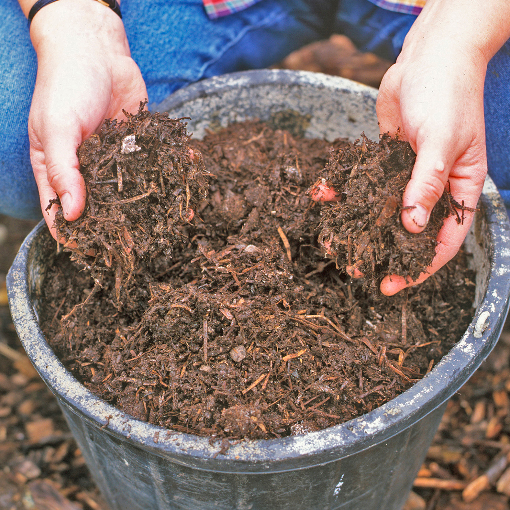 bucket of mushroom compost with hands lifting some of the compost from the bucket