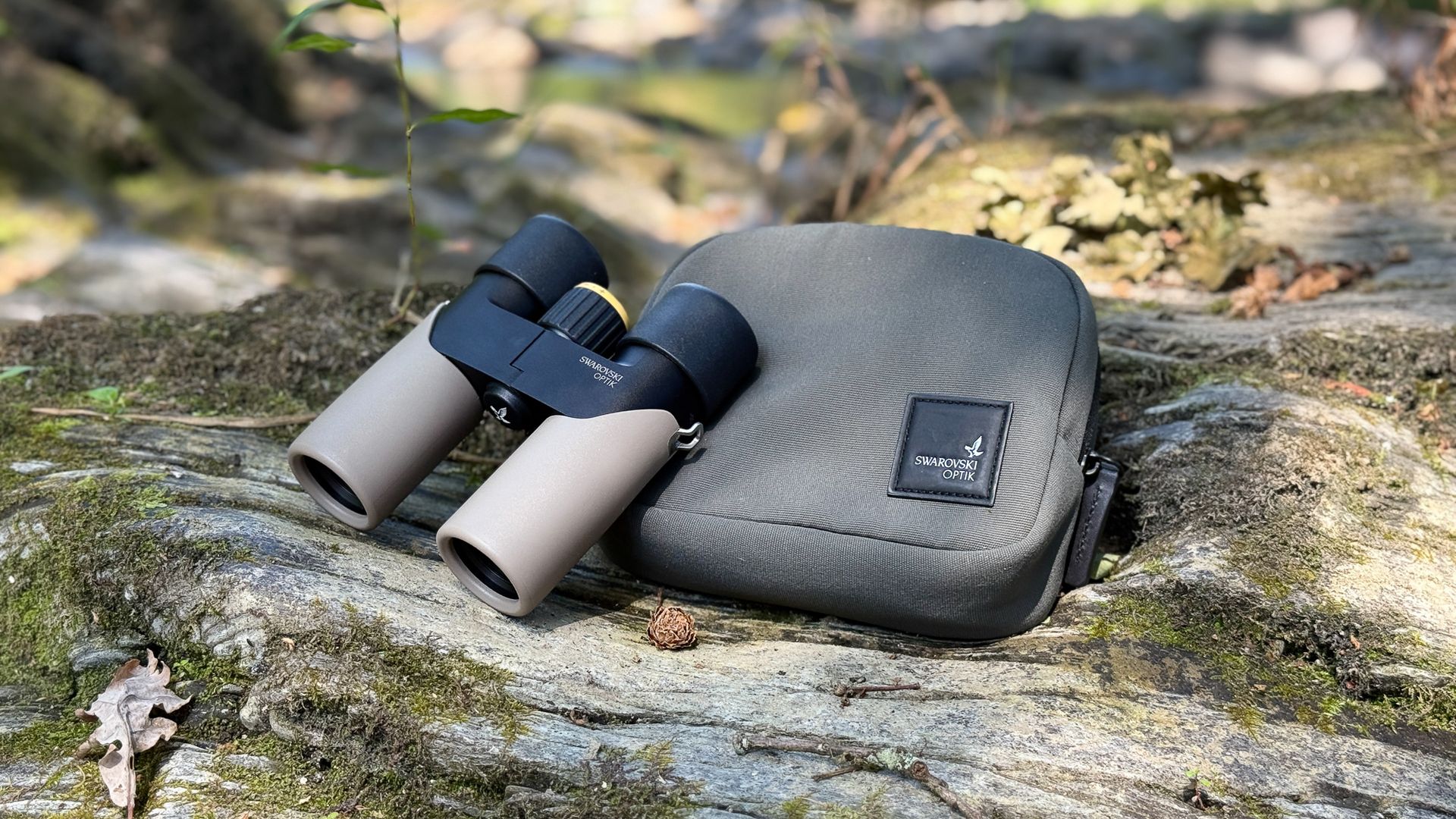 Swarovski CL Companion 10x30 and bag on a rock