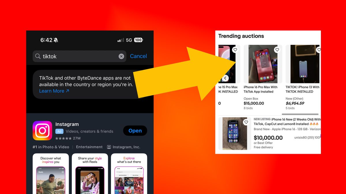 Screenshots of the TikTok app not in the App Store and eBay auctions for iPhones with TikTok