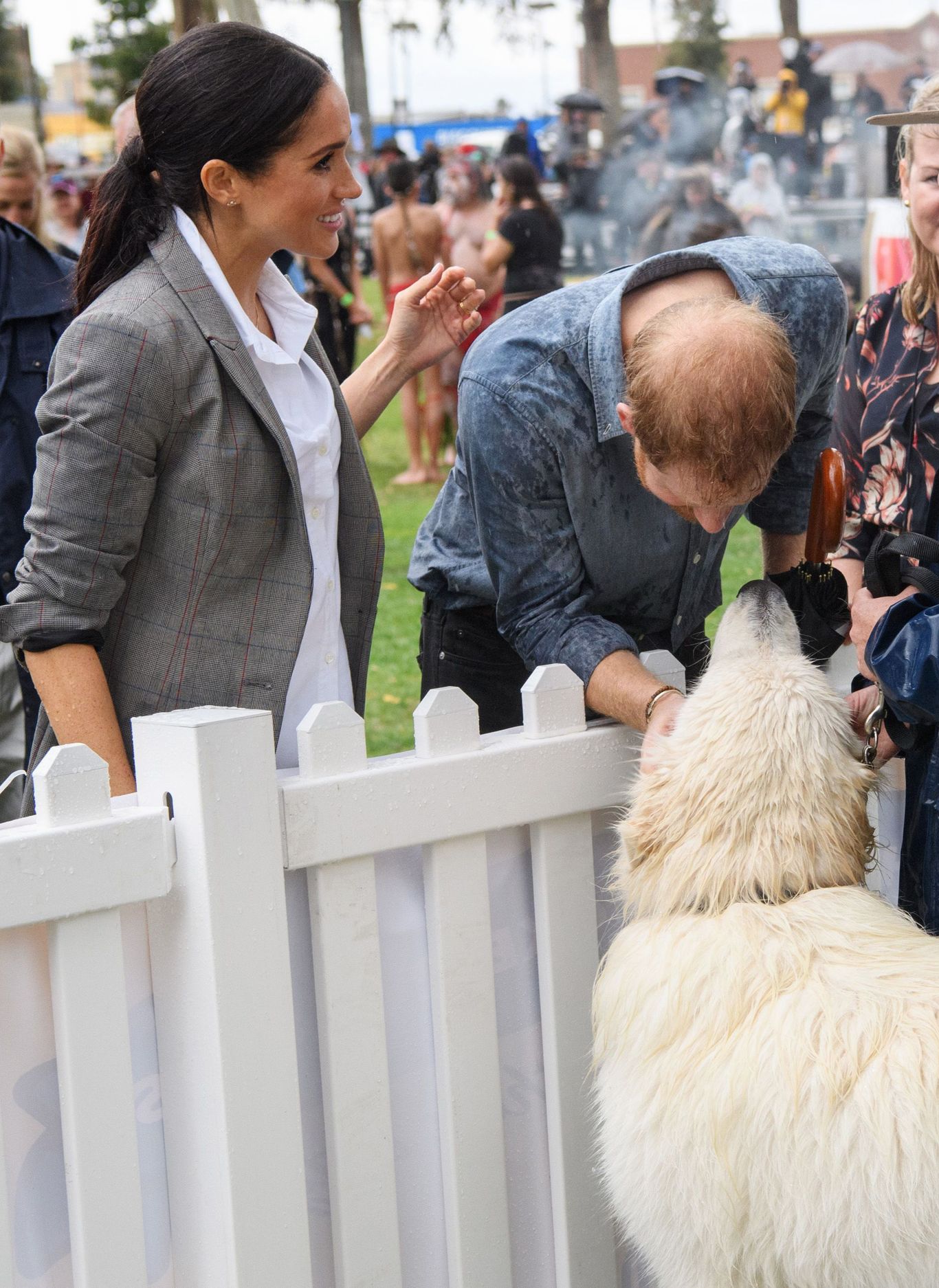 Prince Harry brings his and Meghan's dog to Birmingham Woman & Home