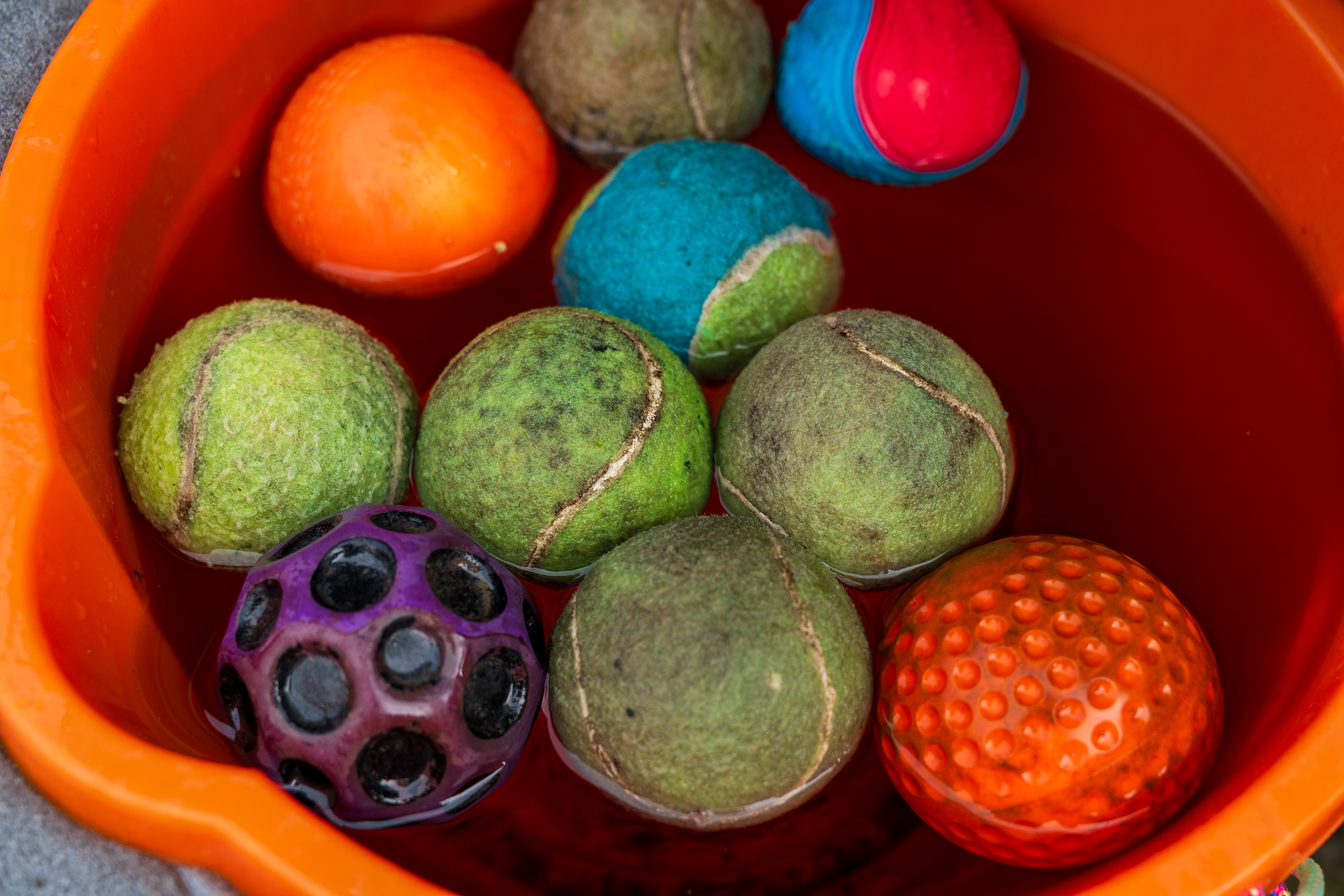 LK Samyang / Rokinon AF 24-60mm f/2.8 FE example shot