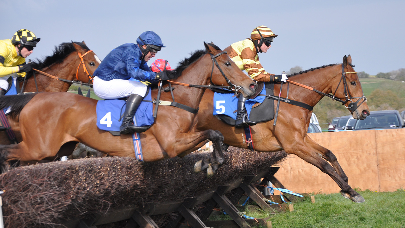 King Of The Clothe (Gina Andrews) leads the intermediate race as his rider heads for a record (Ce)DSC_0116 copy