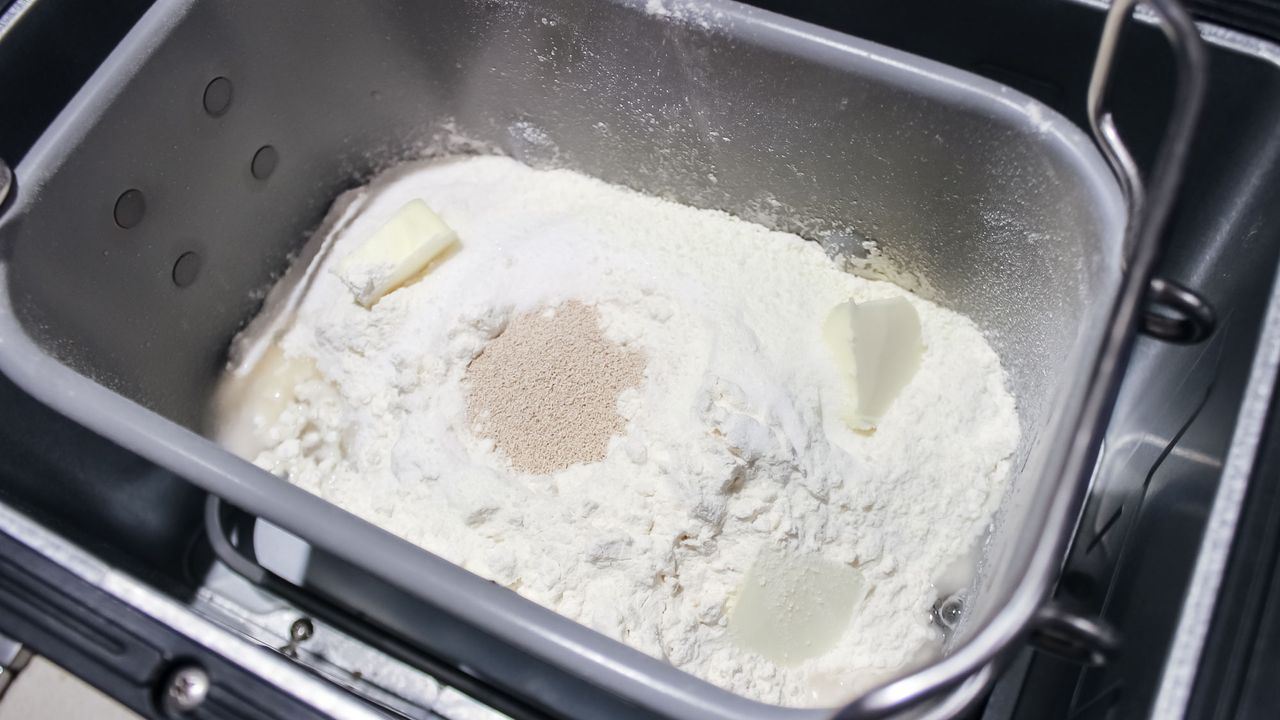 Zojirushi Virtuoso Plus White bread