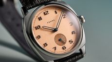 Fears Brunswick 38 Salmon