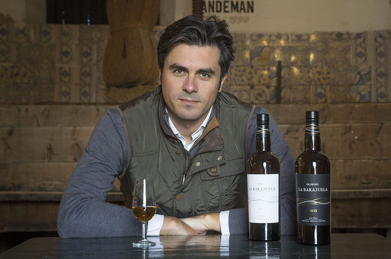 Luis Perez, Bodegas Luis Perez