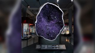 The amethyst geode pictured here stands 9 feet (3 meters) tall, weighs around 12,000 pounds (5,440 kilograms), or about as much as four black rhinos, and was collected from the Bolsa Mine in Uruguay.