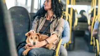 Woman traveling with dog on bus