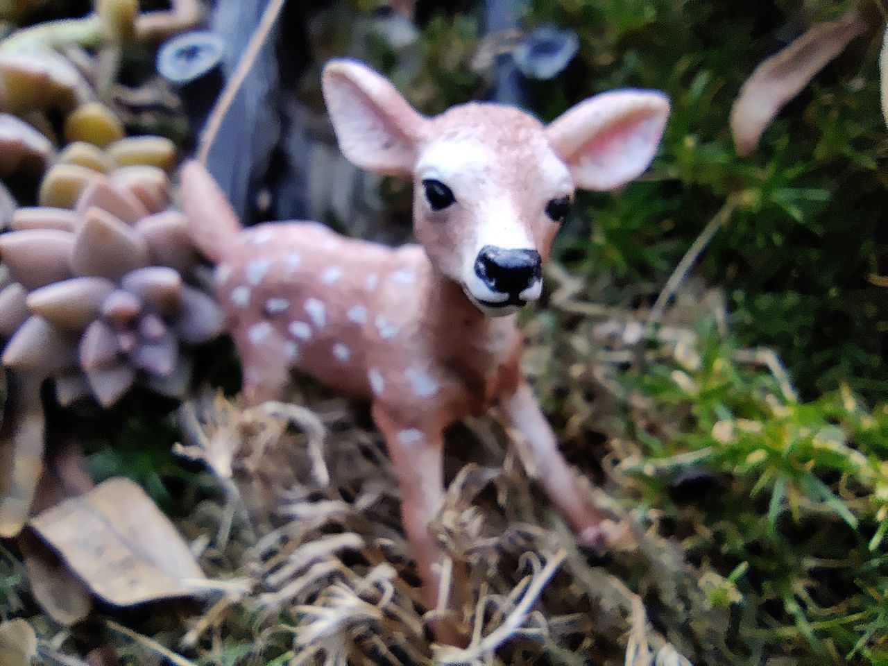 OnePlus 8T review camera samples