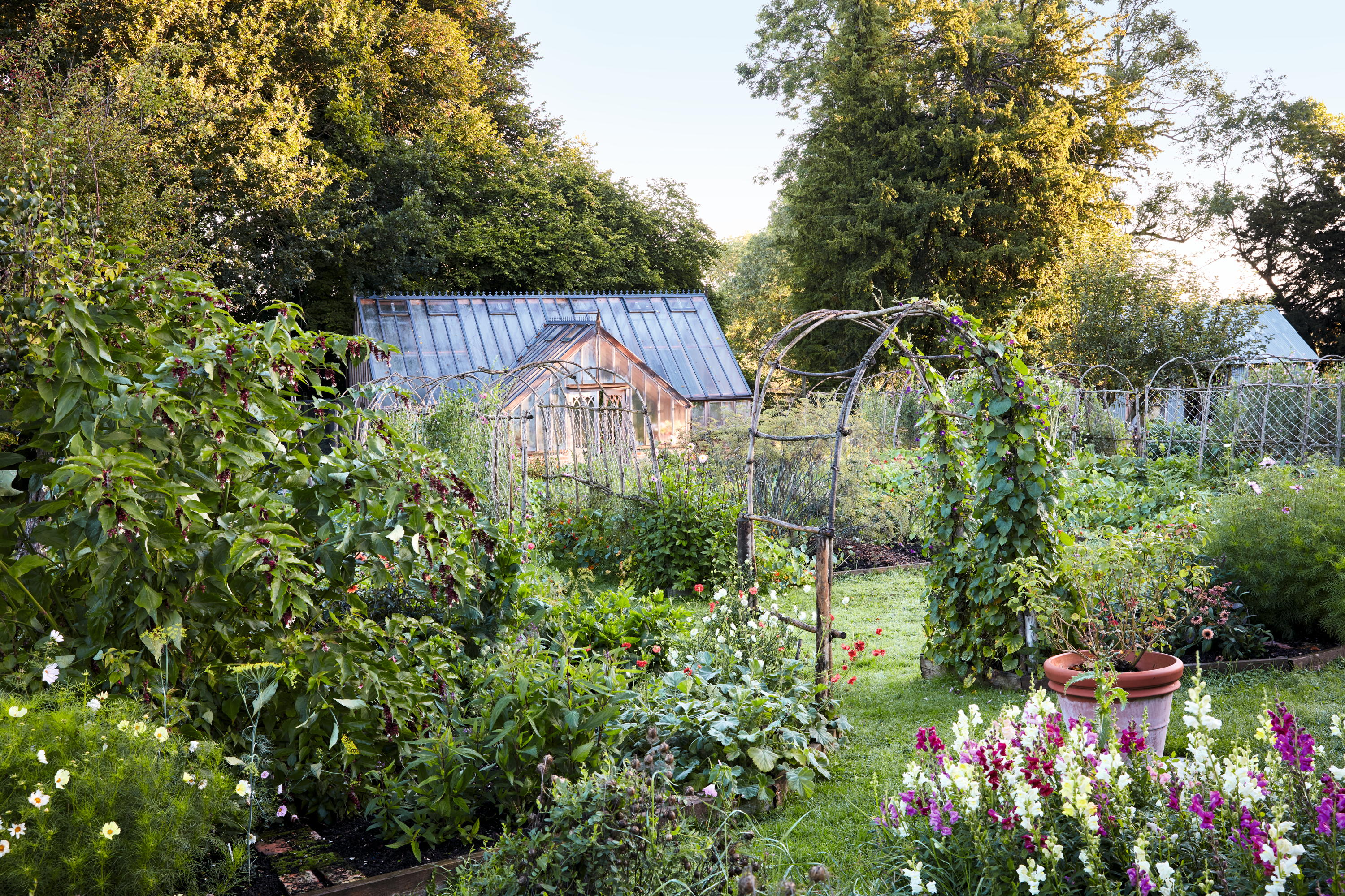 The garden at Salthrop Manor, Wiltshire