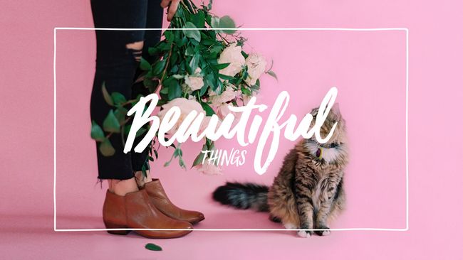 13 of the best pretty fonts to glam up your projects | Creative Bloq