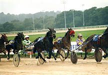 harnessracing.jpg