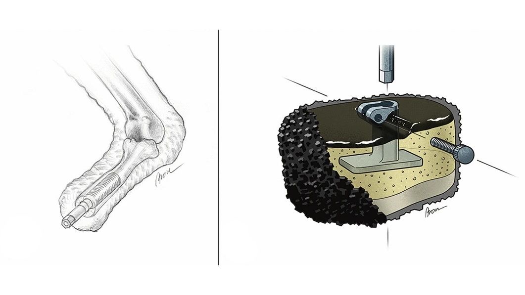 Various layers of cohesive soft materials are located around the central metal attachment to the prosthesis. A rough rubber surface provides traction and stability.