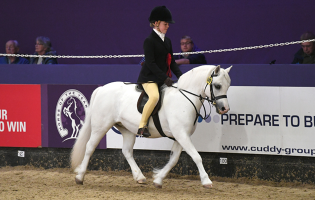 HOYS 04 10 2018