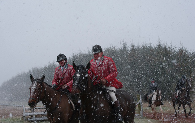 horses in snow1